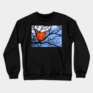 Fallen Red Maple Leaf Crewneck Sweatshirt